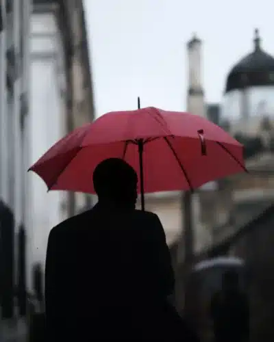 Insurance for Investments