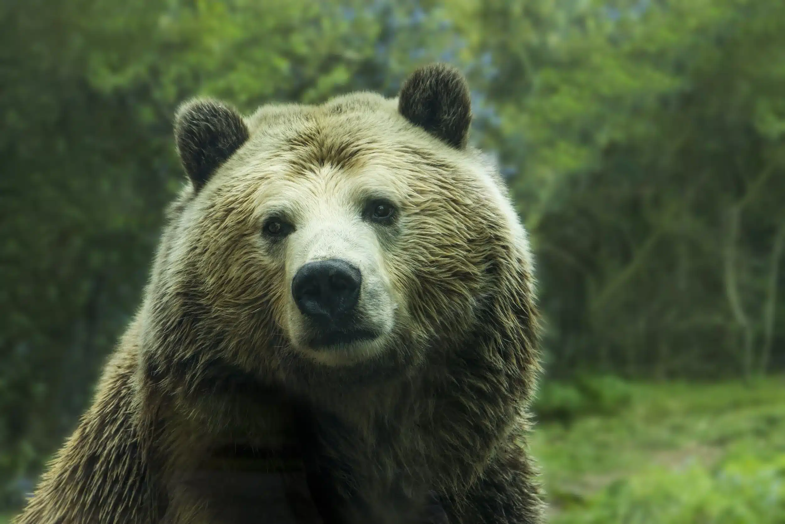 Real estate is entering a bear market