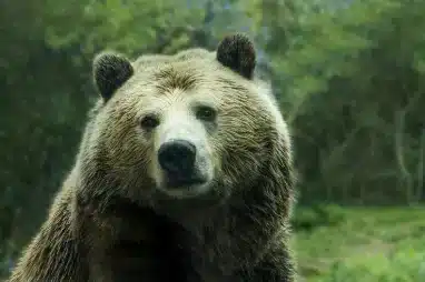 Real estate is entering a bear market