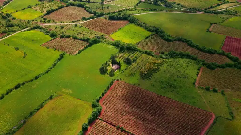 Investing in Land in Real Estate