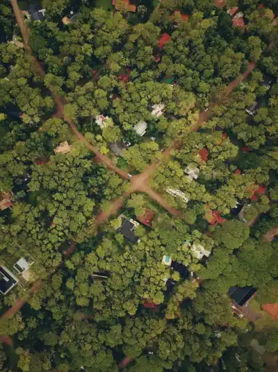 Preparing Your Land for Sale