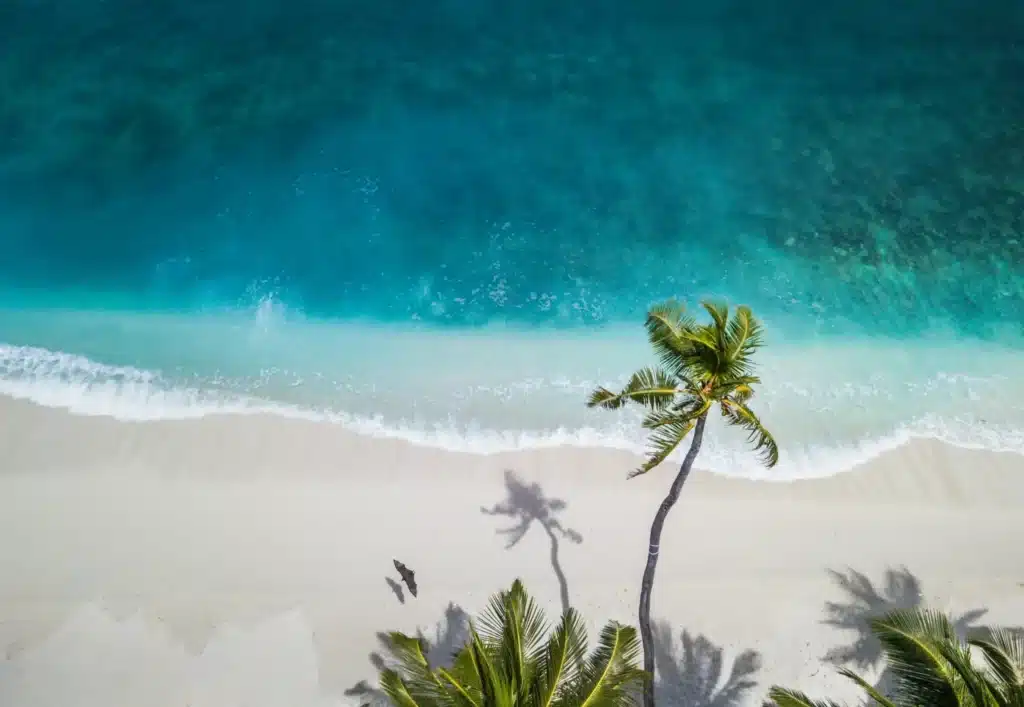 Popular Travel Destinations