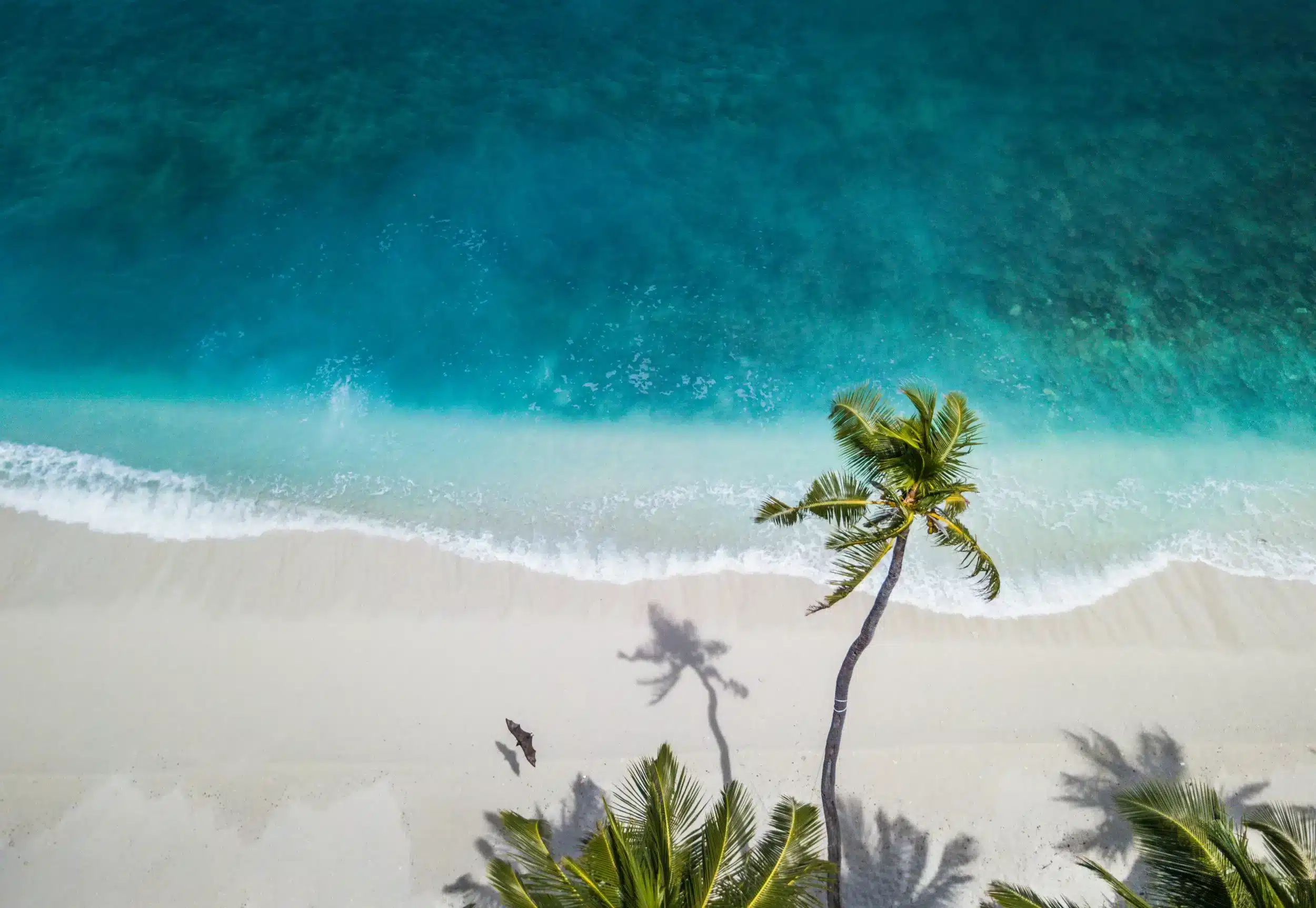 Popular Travel Destinations