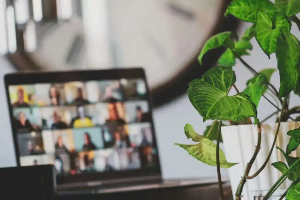 Video Conference Screen
